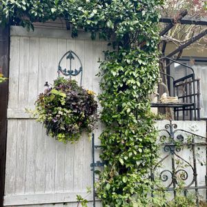 今日の一枚,ハンギングバスケット,小さな庭,庭の画像