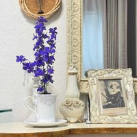 花言葉,花のある暮らし,誕生花,GS映え,リビング・ダイニングの画像