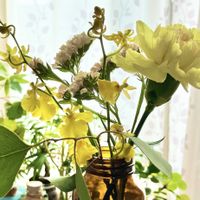 オンシジウム,カーネーション,スターチス,切り花,花のある暮らしの画像