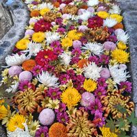 カーネーション,コスモス,ダリア,トルコキキョウ,バラの画像