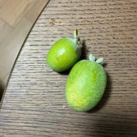 フェイジョアの画像
