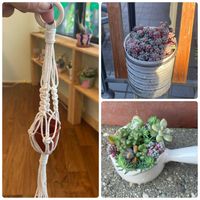 パープルへイズ,マクラメハンガー,ちまちま寄せ,大人ラブリーの画像