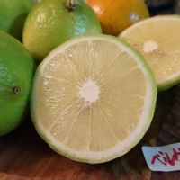 ベルガモット,ミカン,ベルガモット（柑橘）,ベルガモット（柑橘）,千葉の八百屋さんの画像