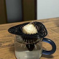 ヒヤシンス水栽培,ムスカリ水栽培,水栽培リベンジの画像