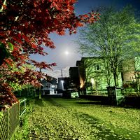 ナナカマド,紅葉（こうよう）,北海道,スーパームーン,雲仲間の画像