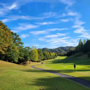 芝生,四季桜,シキザクラの画像