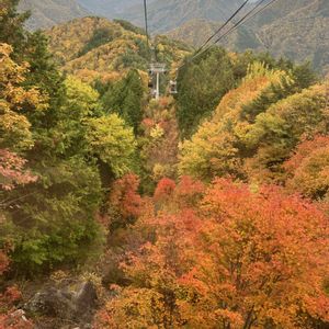 いつもありがとう♡,紅葉（こうよう）,冬野菜,キラキラ✨,繋がりに感謝✨の画像