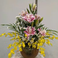 オンシジウム,アレカヤシ,孔雀草,八重咲き百合(ミカエラ)の画像