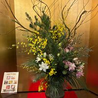 フウセントウワタ,ユーカリ,オンシジューム,アレカヤシ,マキの画像