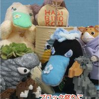 アロマティカス,コーヒーの木,ブースカ,繋がりに感謝✨,タヌキ祭りの画像