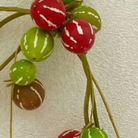 オキナワスズメウリ,スズメウリ,カラフル,かわいい♡,部屋の画像