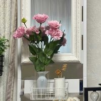 プリマドンナ（ユーストマ：八重咲土耳古桔梗）,花言葉,花のある暮らし,誕生花,GS映えの画像