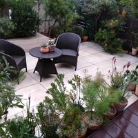 ブラキカム,バンクシア,カンガルーポー,オージープランツ,庭仕事の画像