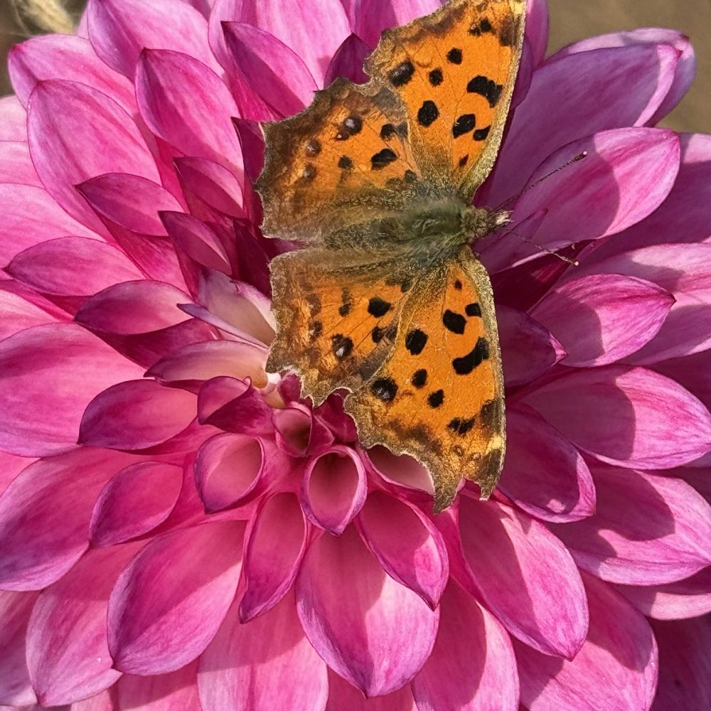 みとくさんの港の見える丘公園への投稿