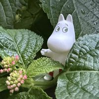 ランタナ,パンジー,ペンデンス,エンジェルティアーズ,よく咲くスミレの画像