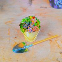 チマチマ,ちまちま,ミニチュア,今日の多肉ちゃん,可愛い♥️の画像