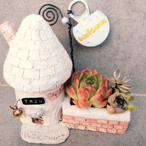 多肉植物,自作鉢,多肉寄せ植え,エケベリア属,癒しの画像