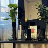 ピンポンマム（ポンポン菊）,花言葉,花のある暮らし,誕生花,GS映えの画像