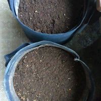 土壌改良,日々の成長を記録記録！^ ^,おうち園芸,リサール酵産,超カルスNCRの画像