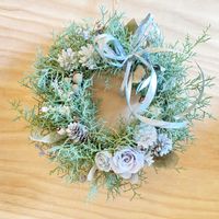 ブルーアイス,リース,シルバーの画像