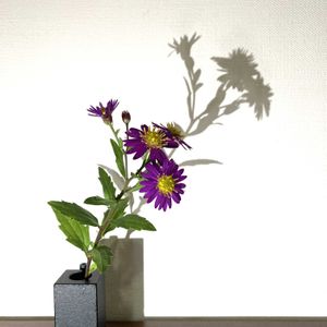 キク,一輪挿し,花瓶,花器,山野草の画像