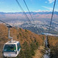 ナナカマド,入笠山,富士見パノラマリゾート,２０２０年５月同期の画像