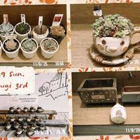 安曇野,鉢植え,多肉大好き,多肉中毒,イベントの画像