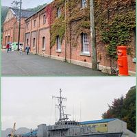 ウインターコスモス,癒やし,繋がりに感謝,ほっこり笑顔に,京都、舞鶴(まいづる)港の画像