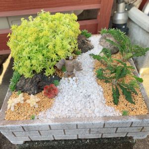 多肉植物,多肉植物寄せ植え,多肉大好き,多肉箱庭,多肉植物のある暮らしの画像