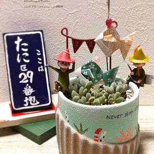 碧魚連,碧魚連,セリア,リメ鉢,ガチャガチャの画像