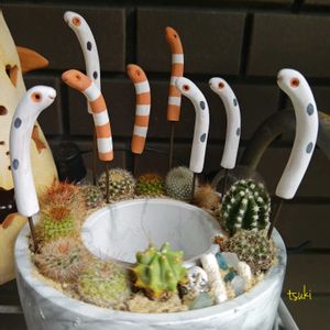 チンアナゴピック,手作り鉢,テラコッタ鉢,#多肉植物,月の手しごとの画像