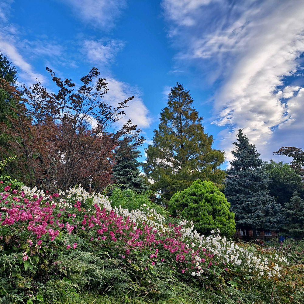 エリィさんの港の見える丘公園への投稿