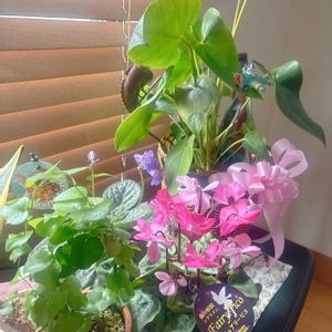 リビング,可愛い,癒し,感謝,楽しみ〜の画像