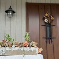 多肉植物,多肉植物寄せ植え,リース,多肉寄せ植え,みどりのある暮らしの画像