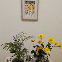 キク,テーブルヤシ,花のある暮らし,トイレ・洗面所の画像