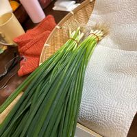 スノーフレークの画像