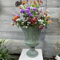 アリッサム,シロタエギク,カルーナ ブルガリス,ビオラ しんしん,シロタエギク ニュールックの画像