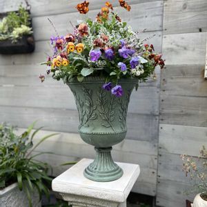 寄せ植え,ガーデニング,ギャザリング,今日の一枚,植物のある暮らしの画像