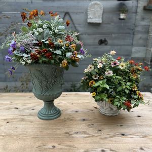 寄せ植え,ガーデニング,ギャザリング,今日の一枚,花のある暮らしの画像