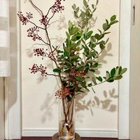 フェイジョア,ノバラ,切り花,生花,枝ものの画像