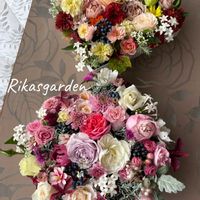 キク,ジニア,ジニア,ジニア,とうがらしの画像