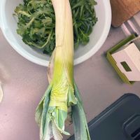 春菊,長ネギ,収穫,北海道,札幌の画像