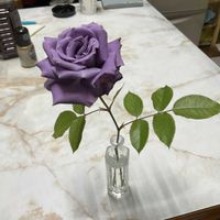 部屋の中の画像