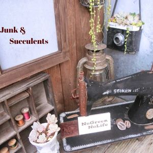 多肉植物,多肉植物寄せ植え,多肉大好き,ガーデニング,多肉ちゃんの画像