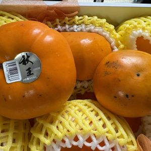 ハイビスカス ピンクバタフライ,柿(秋王),柿(秋王),ハイビスカスピンクバタフライ,ハイビスカスピンクバタフライの画像