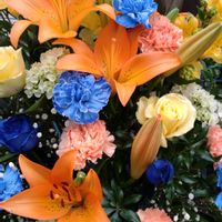 受賞,鉢植え,ガーデニング,散策,お祝い花の画像