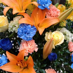 受賞,鉢植え,ガーデニング,散策,お祝い花の画像