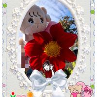 皇帝ダリア,ダリア,ステキ☆,癒し…♡,か〜わい〜の画像