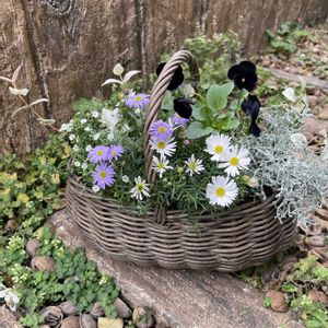 寄せ植え,鉢植え,ギャザリング寄せ植え,ギャザリング,モルタル造形の画像