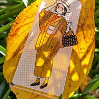 オキザリス,オキザリス,キク,キク,ブルーアイスの画像